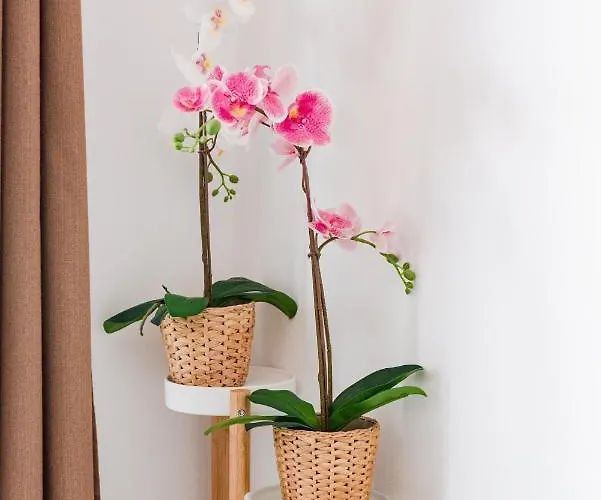 Siora Agiolina Two-bedroom Private Pool Villa